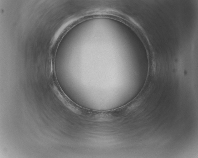 X0000051911368200507082019