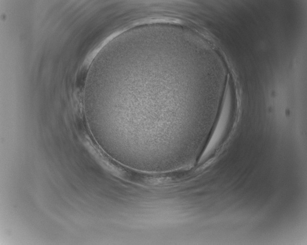 X0000051911369200507082019