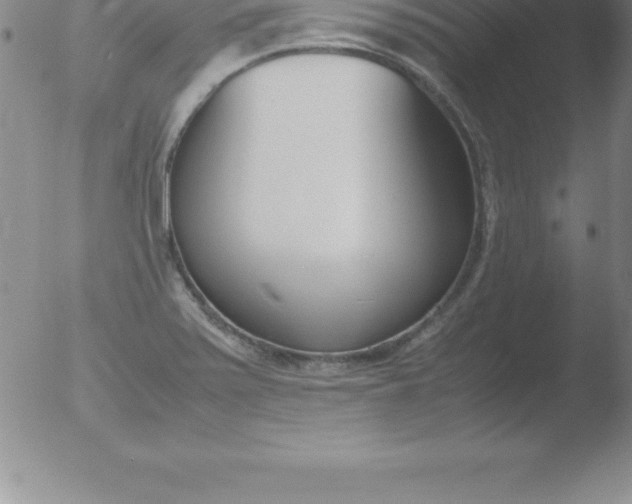 X0000051911371200507082019