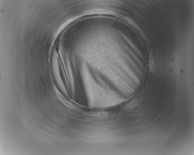 X0000051911372200507082019