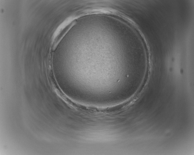 X0000051911373200507082019