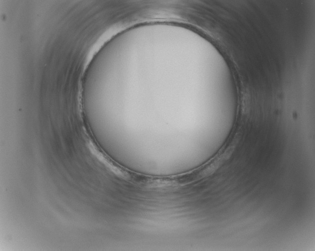 X0000051911374200507082019