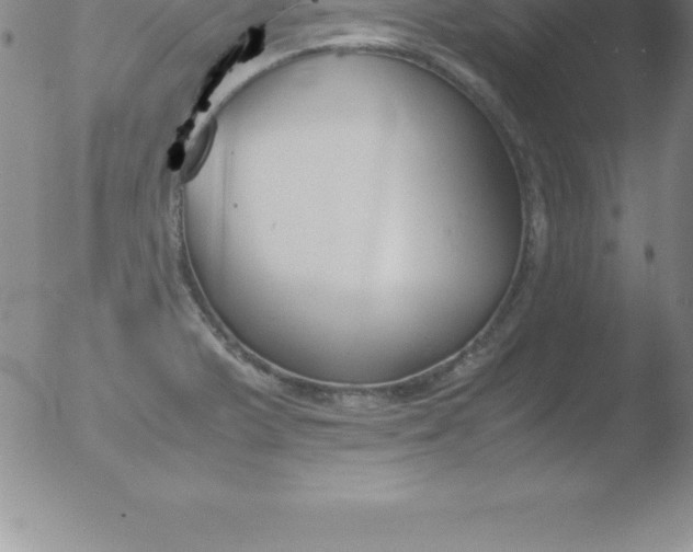 X0000051911375200507082018