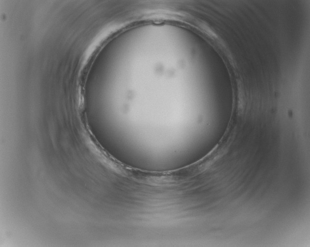 X0000051911376200507082018