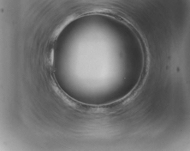 X0000051911377200507082018