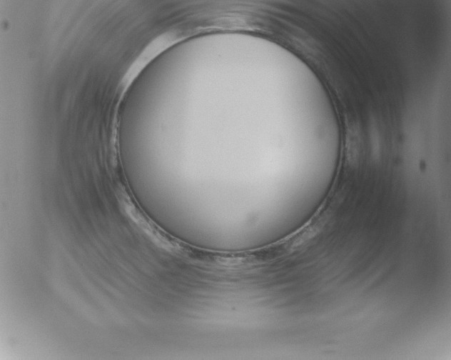 X0000051911378200507082018