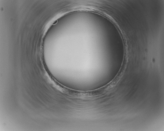 X0000051911379200507082018