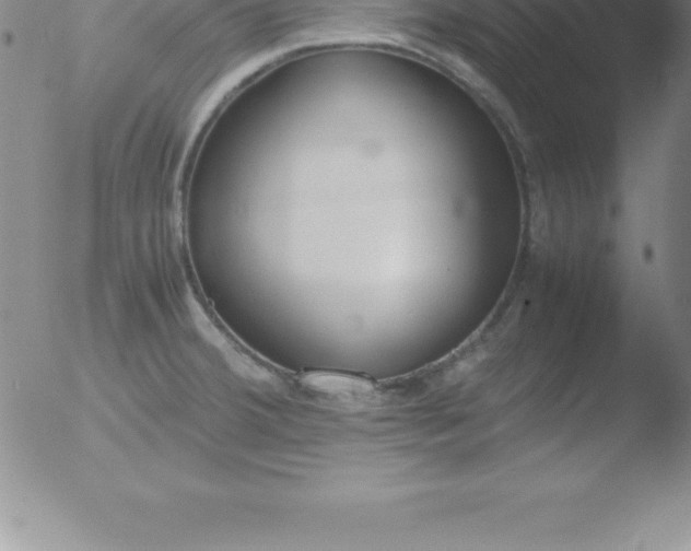 X0000051911380200507082018