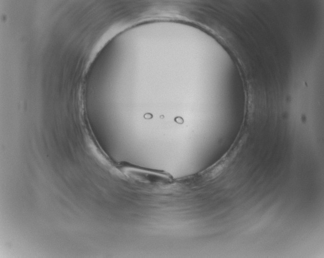 X0000051911382200507082018