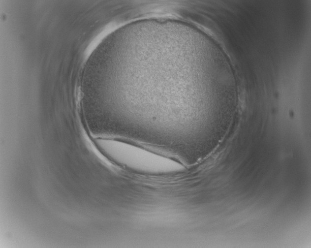 X0000051911383200507082018