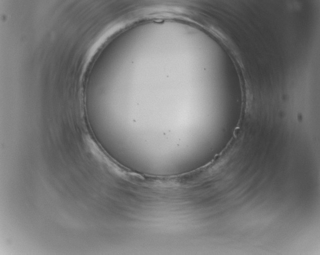 X0000051911384200507082018