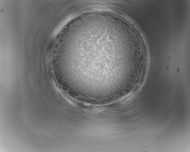 X0000051911385200507082018