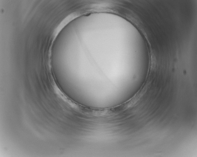 X0000051911386200507082018