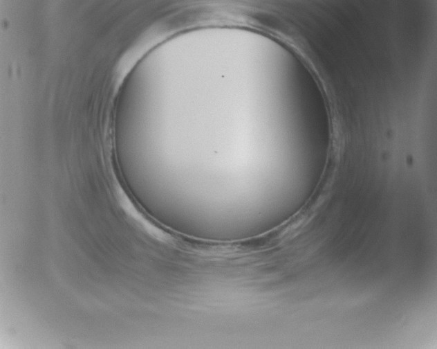 X0000051911387200507082018