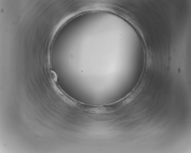 X0000051911388200507082018