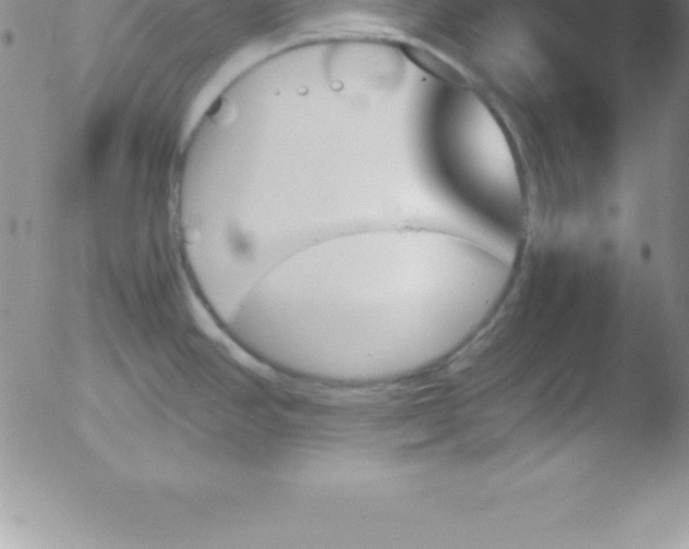 X0000051911390200507082018