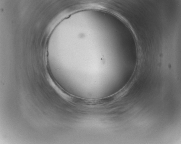 X0000051911391200507082018