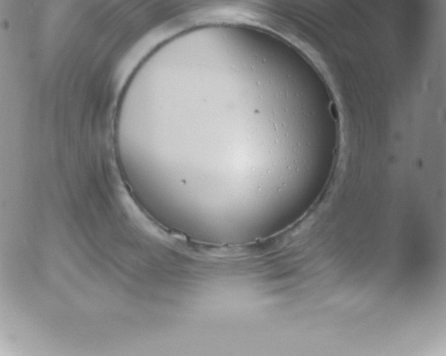 X0000051911392200507082018