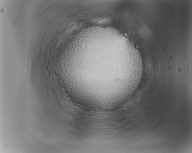 X0000051911393200507082017