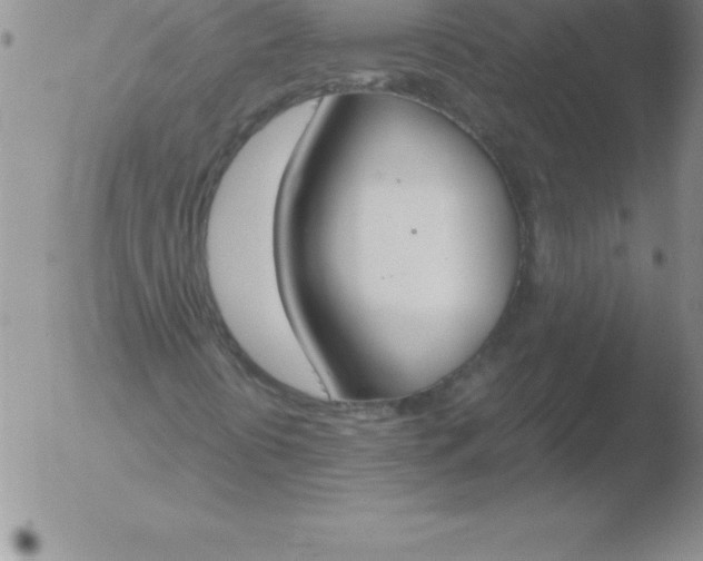 X0000051911394200507082017