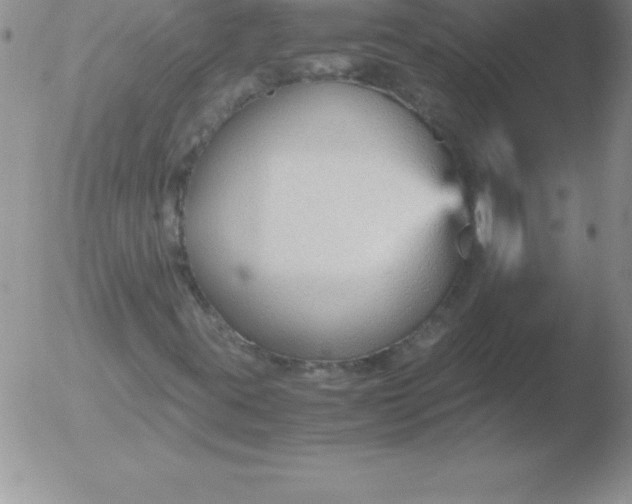 X0000051911395200507082017