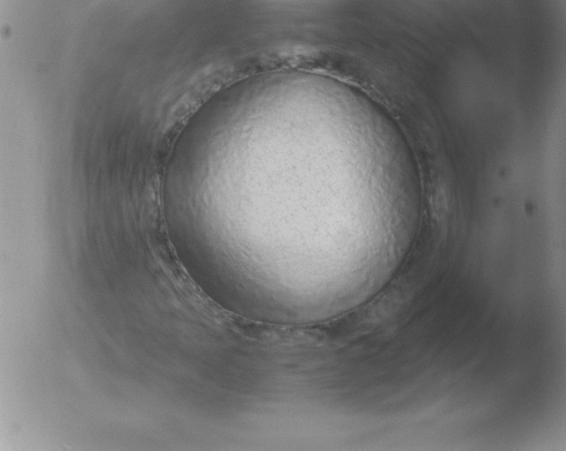 X0000051911397200507082017