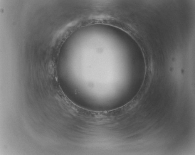 X0000051911398200507082017