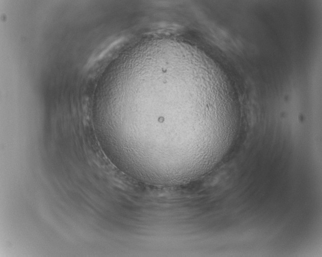 X0000051911399200507082018