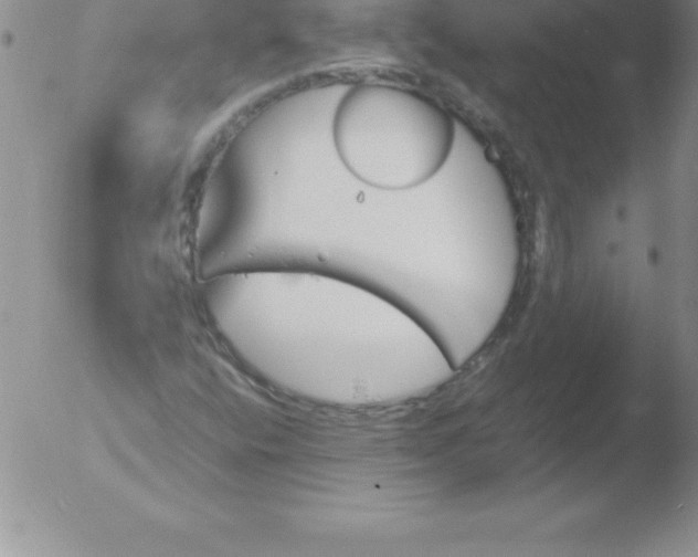 X0000051911400200507082018