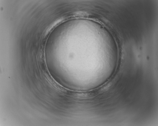 X0000051911401200507082018