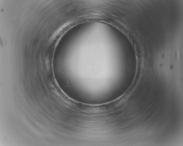 X0000051911402200507082018