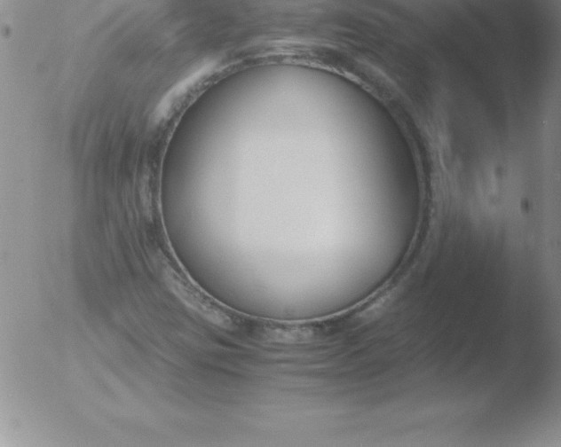 X0000051911403200507082018