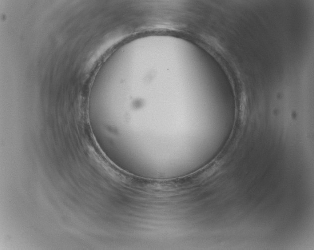 X0000051911404200507082018