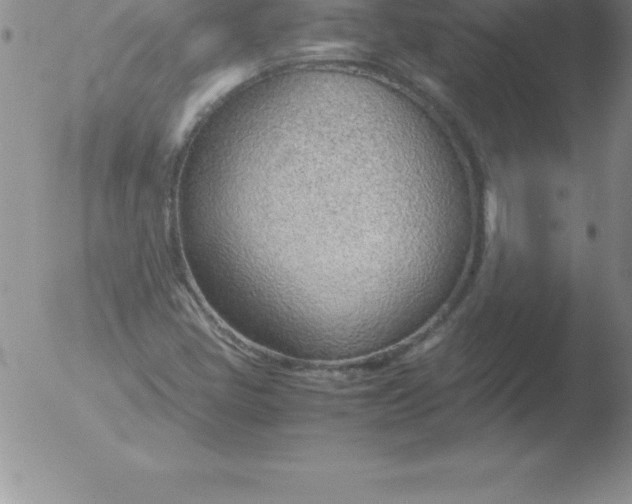 X0000051911405200507082018