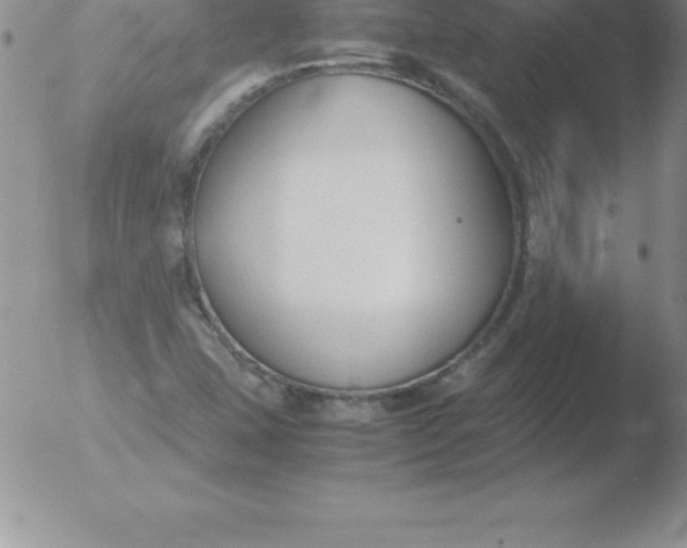 X0000051911407200507082018