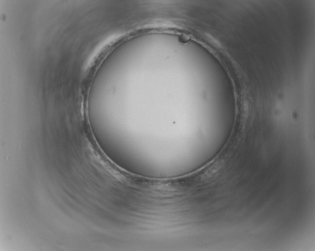 X0000051911408200507082018