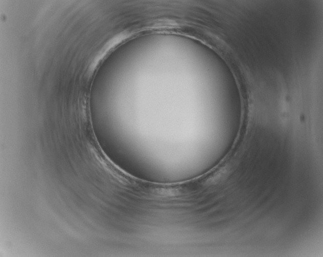 X0000051911409200507082018