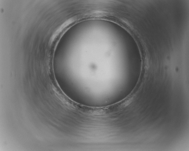 X0000051911410200507082018