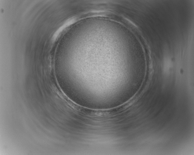 X0000051911411200507082018