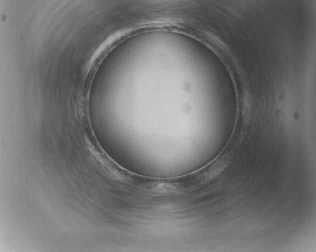 X0000051911412200507082018