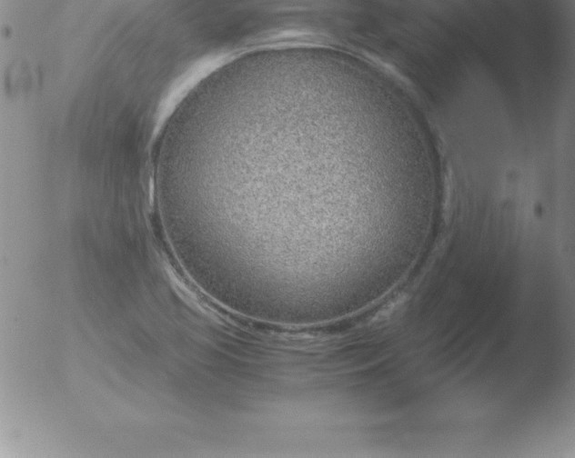 X0000051911413200507082018