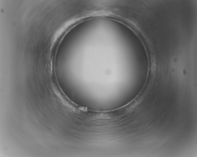 X0000051911414200507082018