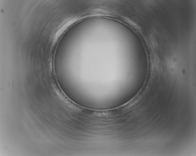 X0000051911415200507082018