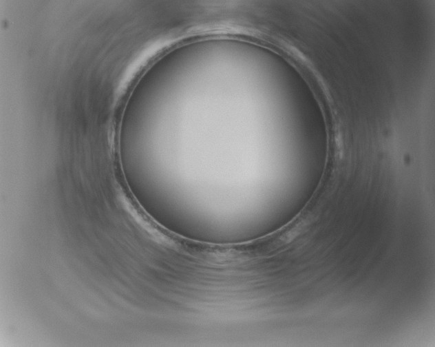 X0000051911416200507082018