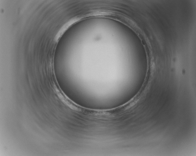 X0000051911417200507082018