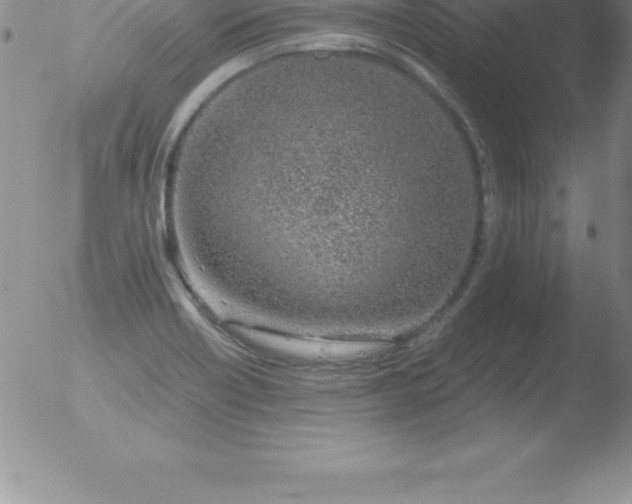 X0000051911418200507082018