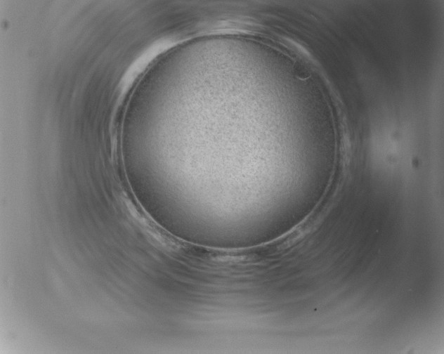 X0000051911419200507082018