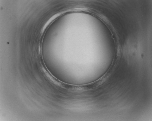 X0000051911420200507082018