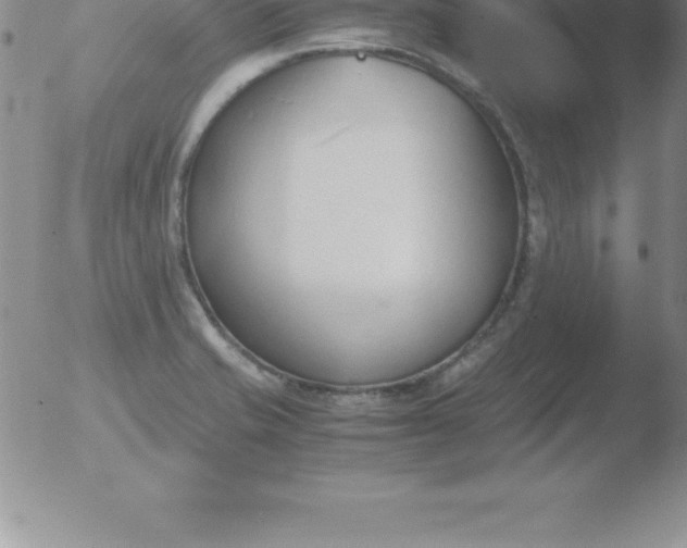 X0000051911421200507082018