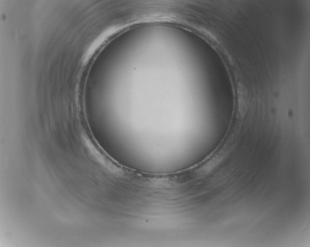 X0000051911422200507082018